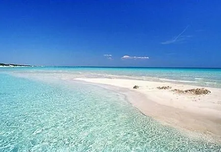 Allegrhouse: Intero Brindisi